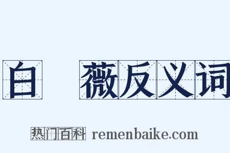 白薔薇反义词是什么意思的图片